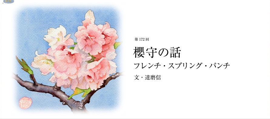 第172回 櫻守の話 フレンチ・スプリング・パンチ 文・達磨信