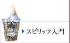 スピリッツ入門
