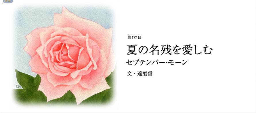 第177回 夏の名残を愛しむ セプテンバー・モーン 文・達磨信