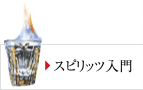 スピリッツ入門