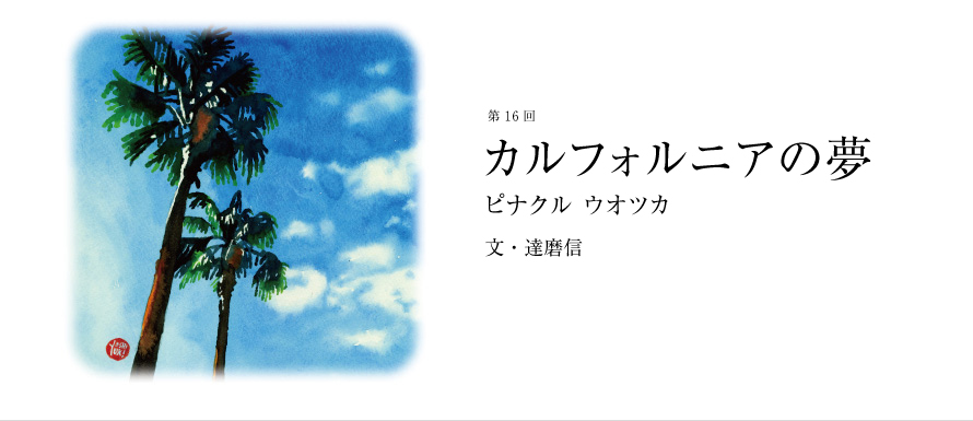 第16回 カルフォルニアの夢 ピナクル ウオツカ 文・達磨信