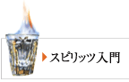 スピリッツ入門