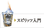 スピリッツ入門