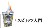 スピリッツ入門