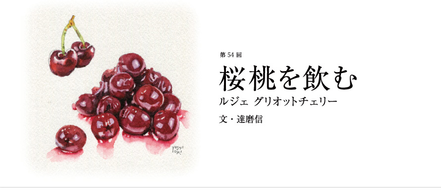 第54回 桜桃を飲む ルジェ グリオットチェリー 文・達磨信