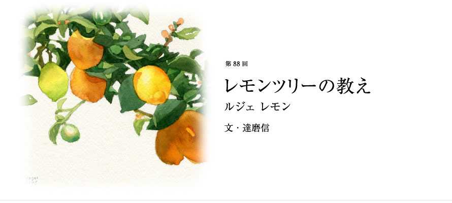 第88回 レモンツリーの教え ルジェ レモン 文・達磨信