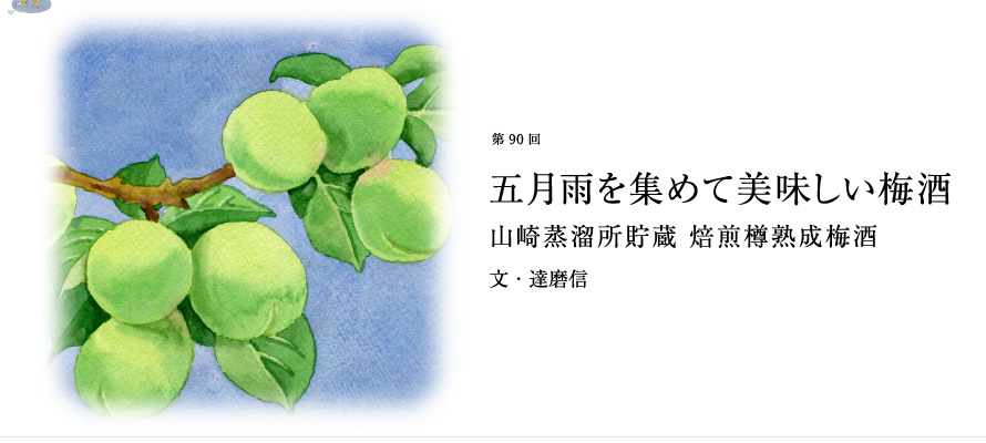 第90回 五月雨を集めて美味しい梅酒 山崎蒸溜所貯蔵 焙煎樽熟成梅酒 文・達磨信