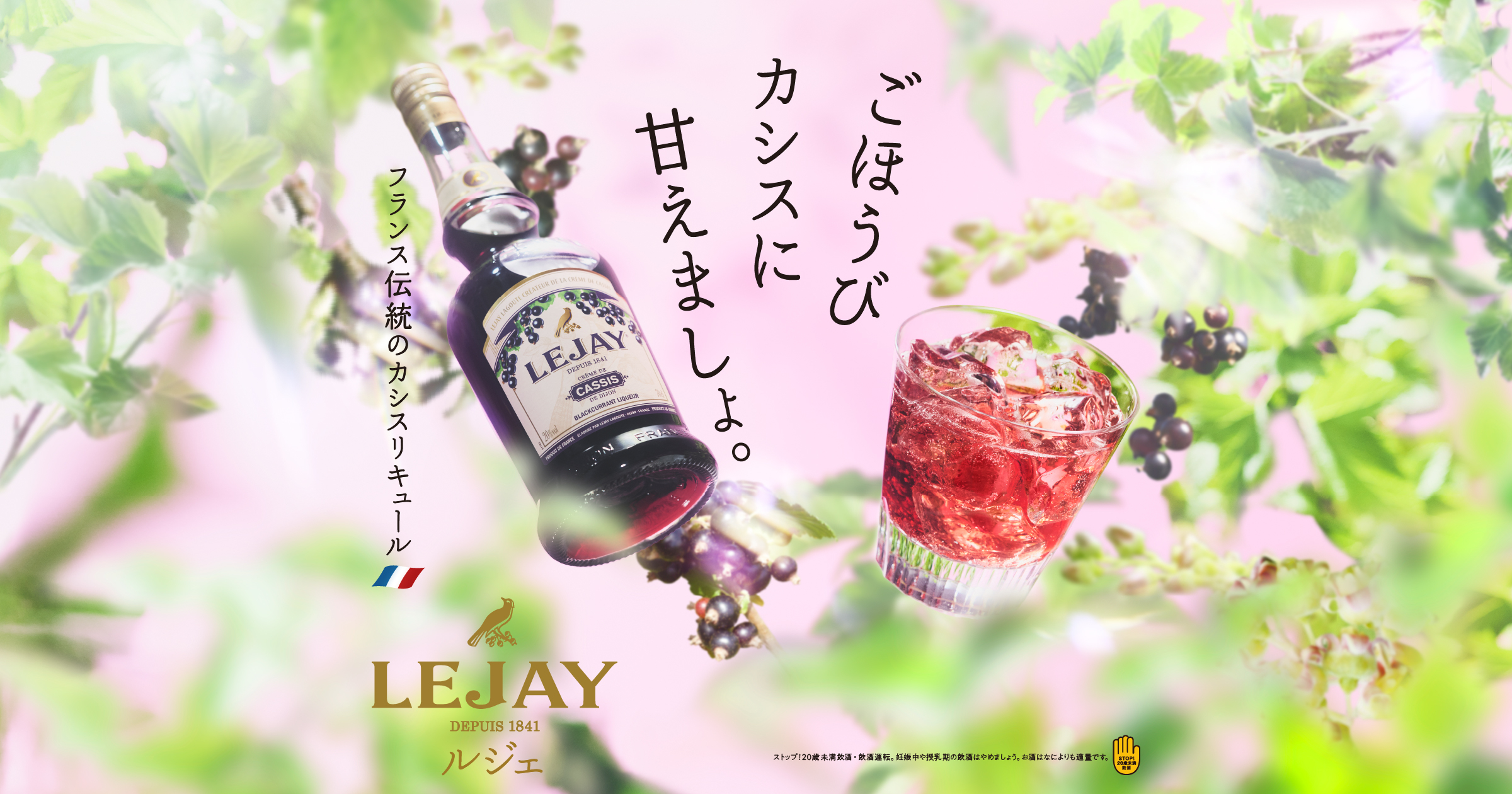 ルジェ カシス（LEJAY CASSIS）｜サントリー