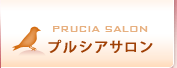 プルシアサロン