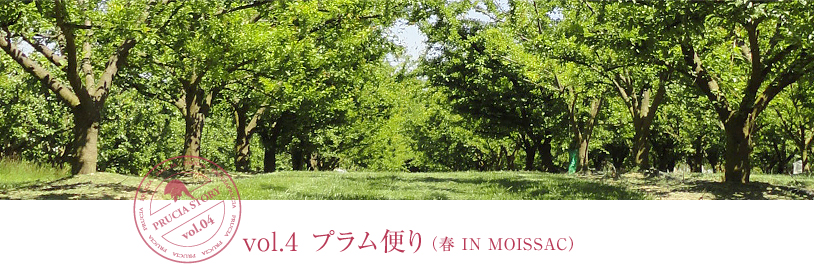 vol.4 プラム便り(春 IN MOISSAC)