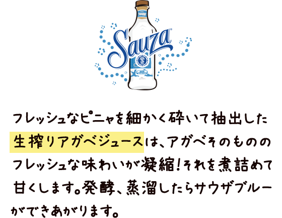 フレッシュなピニャを細かく砕いて抽出した生搾りアガベジュースは、アガベそのもののフレッシュな味わいが凝縮！それを煮詰めて甘くします。発酵、蒸溜したらサウザブルーが出来上がります。