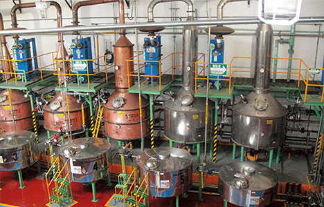 芸術とよばれるサウザの蒸溜法