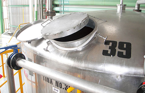 フレッシュなアガベフレーバーを生かす秘伝の酵母