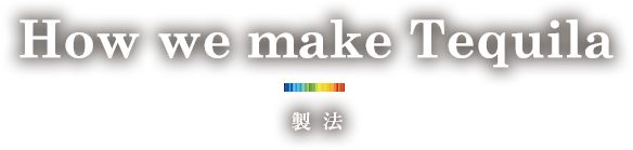 How we make Tequila 製法