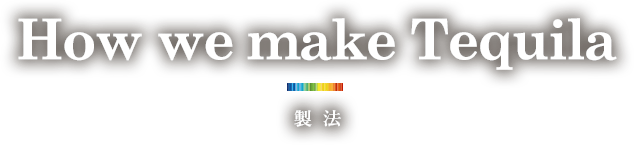 How we make Tequila 製法