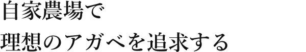 自家農場で理想のアガベを追求する
